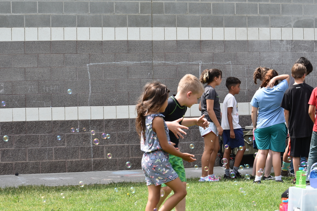 FieldDay